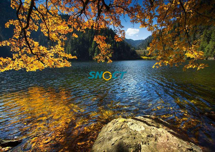 旅游規(guī)劃的主要類型有哪些？