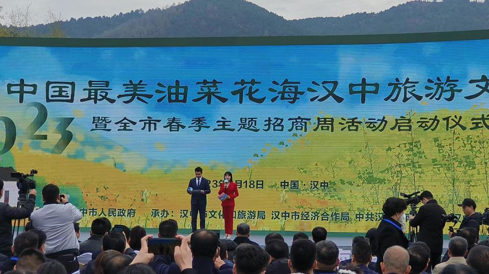 往屆中國(guó)最美油菜花海漢中旅游文化節(jié).jpg
