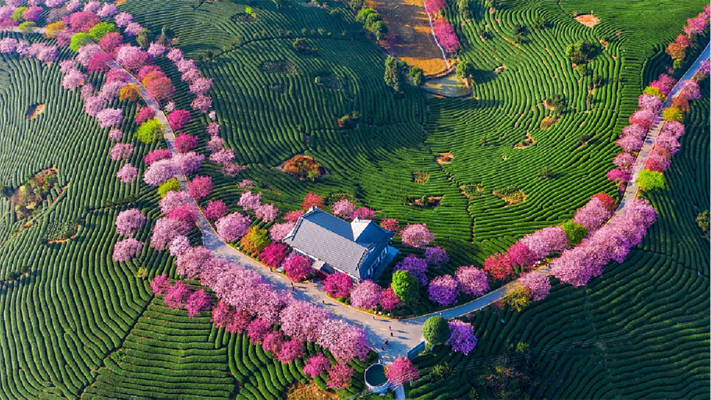旅游公路配圖.jpg