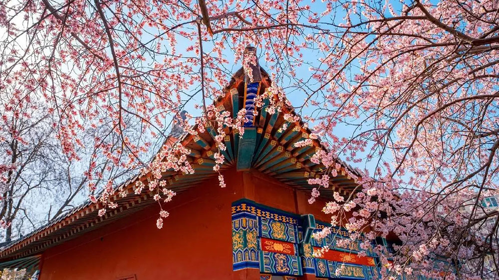 天津桃花園.jpg