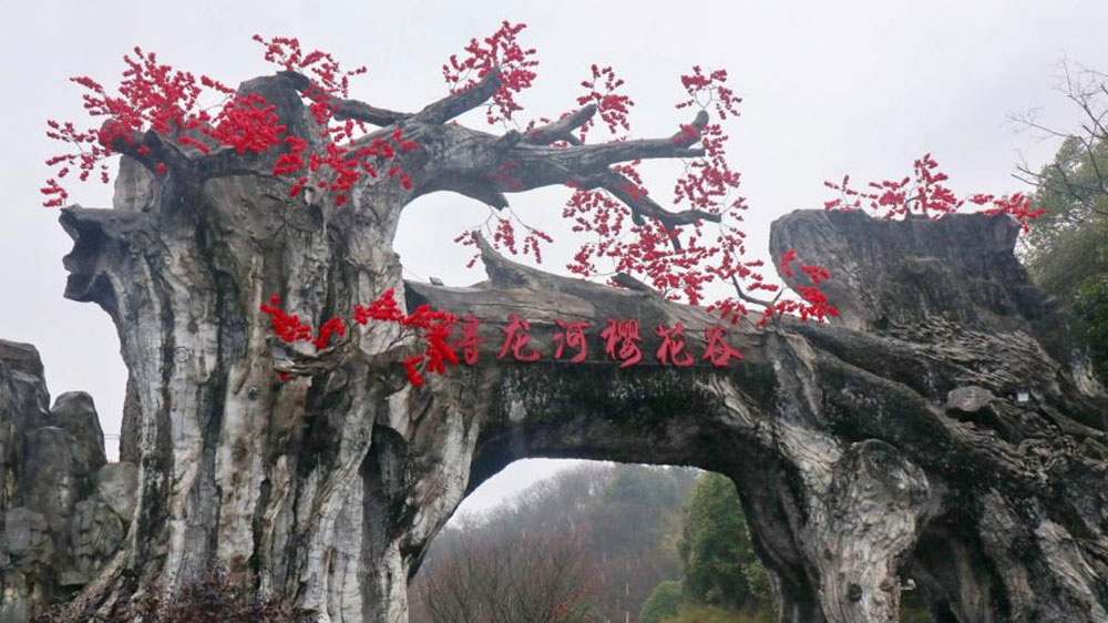 潯龍河櫻花谷.jpg