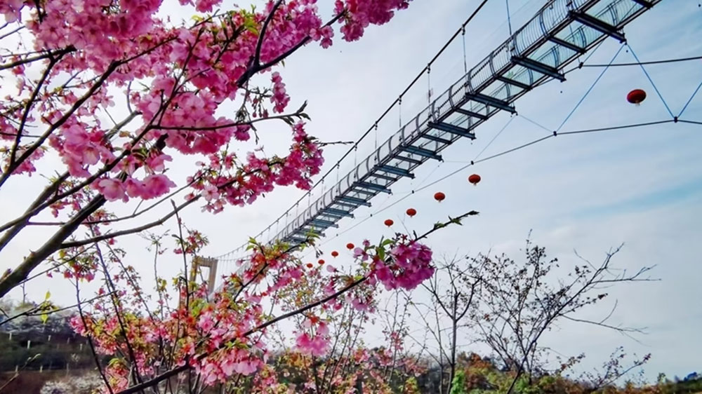 潯龍河櫻花谷5D玻璃橋.jpg