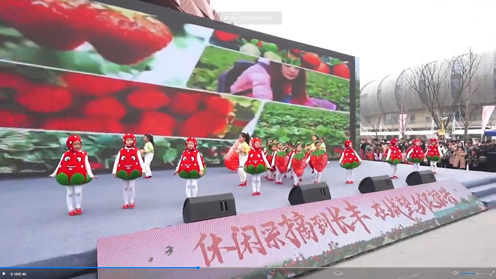 第二十一屆長(zhǎng)豐草莓文化旅游節(jié)文藝表演.jpg