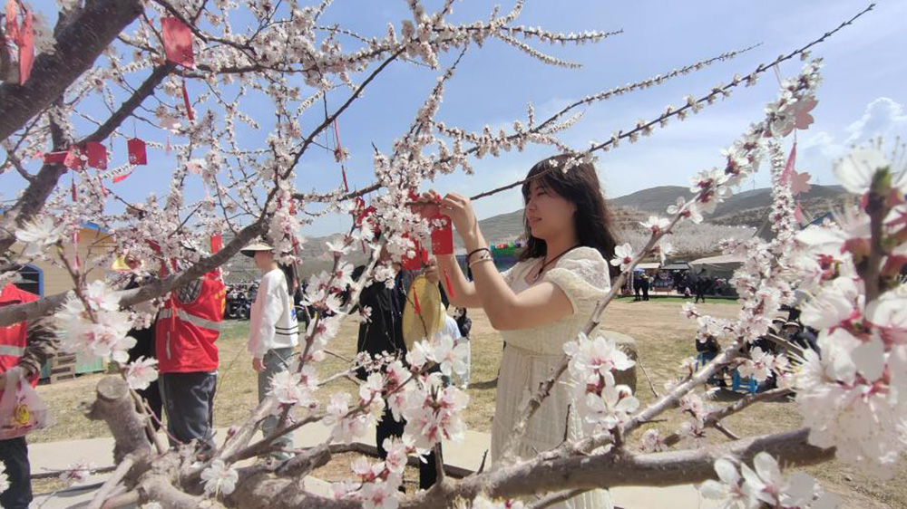 “杏福嶺”杏花文化旅游周現(xiàn)場(chǎng).jpg