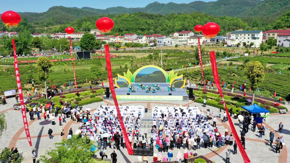 ?？悼h第五屆茶文化旅游節(jié).jpg