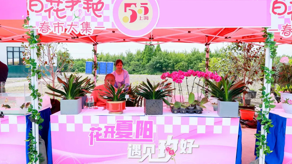 青浦區(qū)首屆夏陽(yáng)玫瑰文化旅游節(jié)現(xiàn)場(chǎng)展.jpg