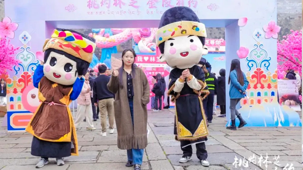 西藏林芝第二十二屆桃花旅游文化節(jié)推介會現場.jpg