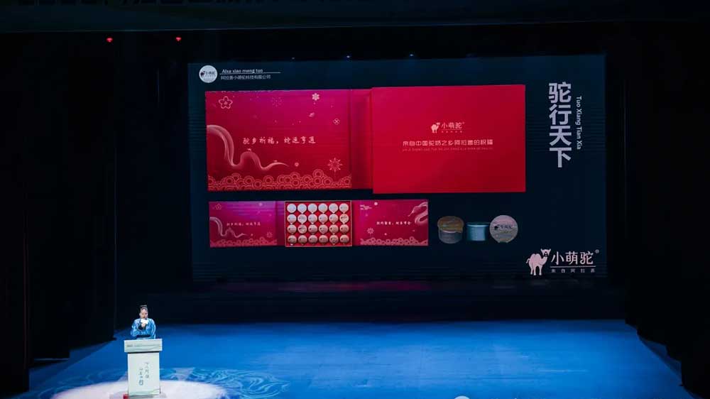 2025旅行商大會(huì)暨文化旅游資源推介洽談會(huì)現(xiàn)場(chǎng)推介.jpg