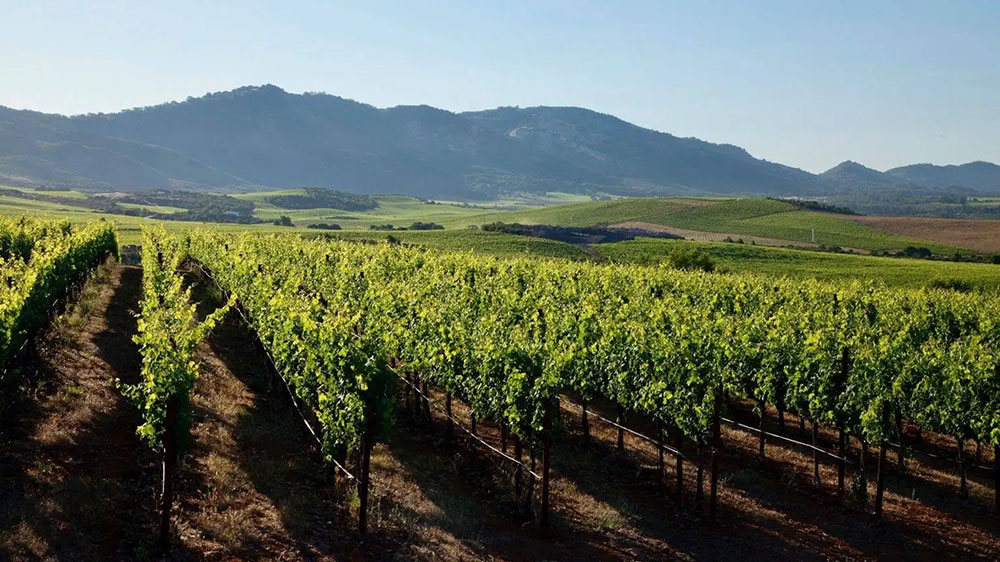 文旅動態(tài)：寧夏文旅廳出臺實施方案，多項舉措加快推進鄉(xiāng)村旅游高質(zhì)量發(fā)展！