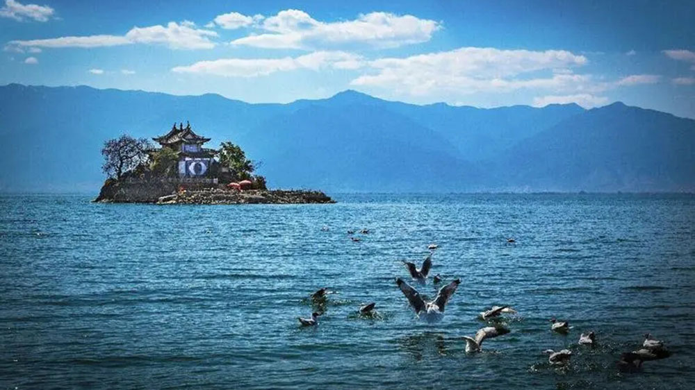 文旅動態(tài)：云南省文化和旅游廳在四川設立招商辦，共謀旅游產業(yè)高質量發(fā)展！