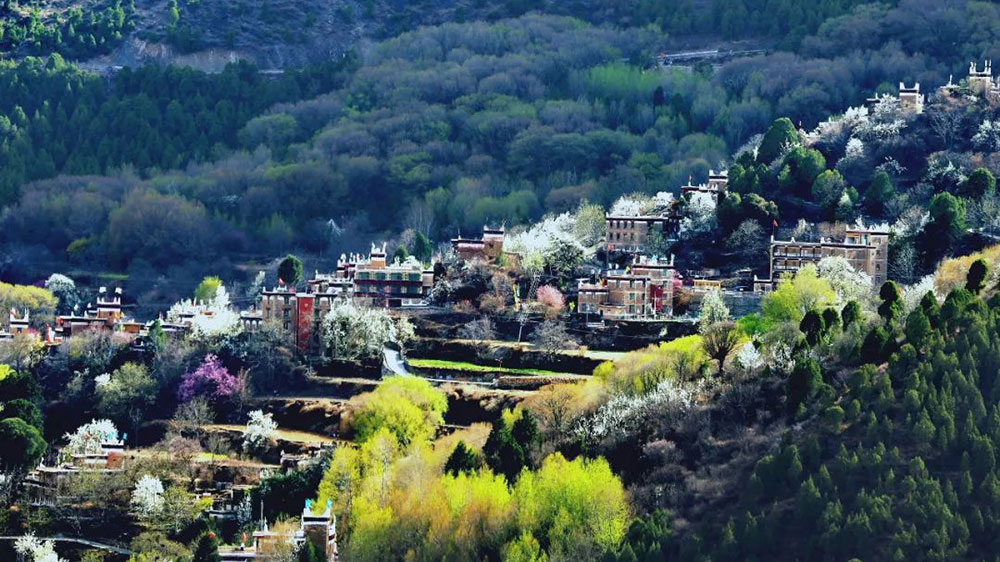 四川：“花開(kāi)丹巴 為梨而來(lái)”美人谷丹巴梨花春賞季活動(dòng)即將舉辦，推出三條主題游線路！