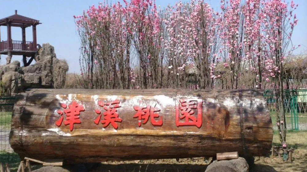 天津：第八屆津溪桃花文化節(jié)將于4月4日開(kāi)幕，進(jìn)一步加強(qiáng)時(shí)尚休閑旅游城市建設(shè)！